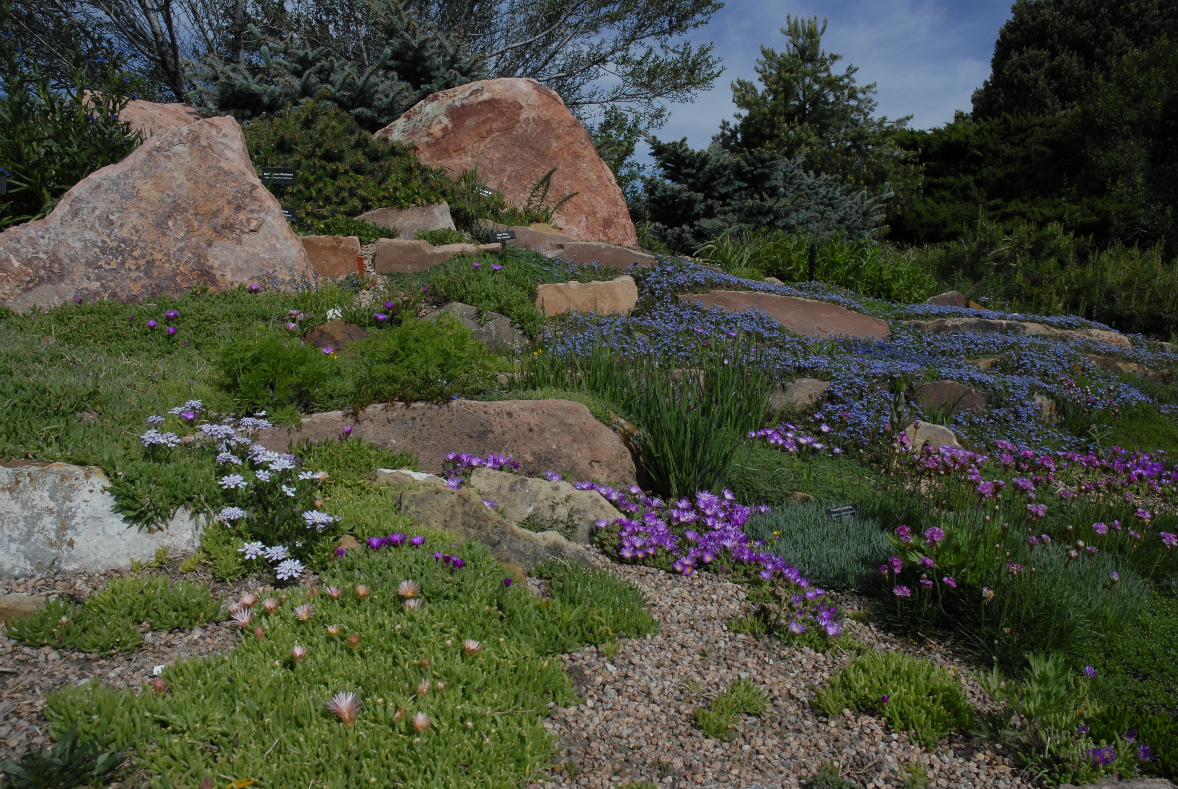 Rock Crevice Garden